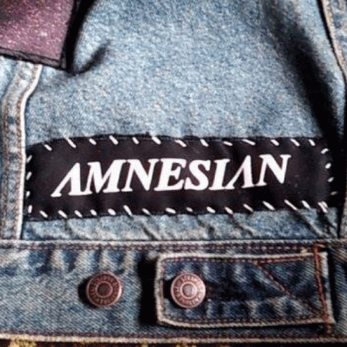 Amnesian : You Think I Ain't Worth a Dollar, But I Feel Like a Millionaire